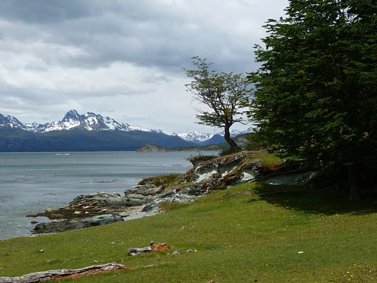view over the Beagle Channel to the mountains in Chile