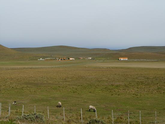 typically sheep farm with a lot of grazing land around