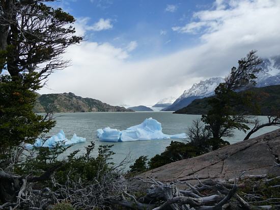 Grey-See mit Grey-Gletscher im Hintergrund
