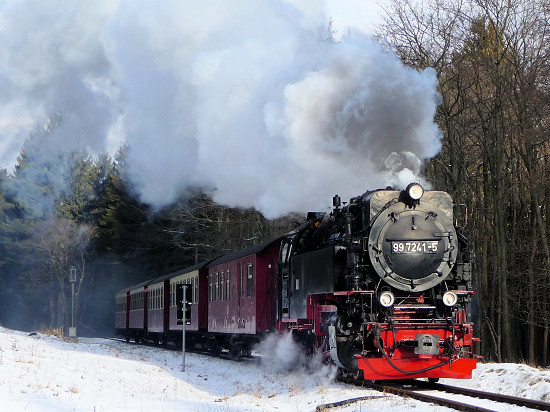 Zug der Harzer Schmalspurbahnen nahe 3 Annen Hohne
