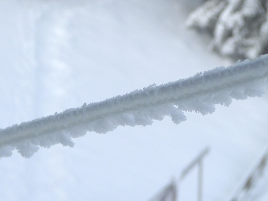 Iced two-wire line