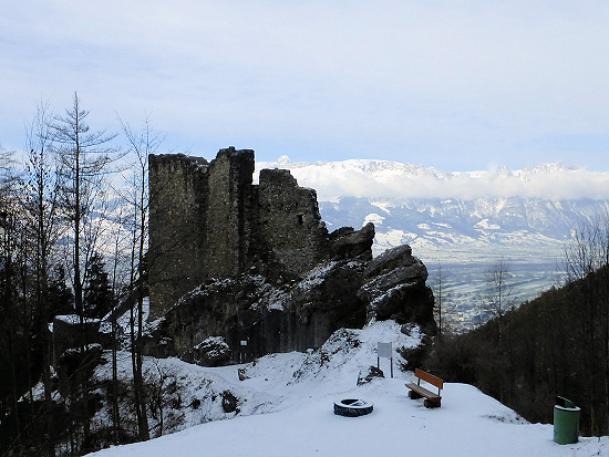 Ruin of the wild castle