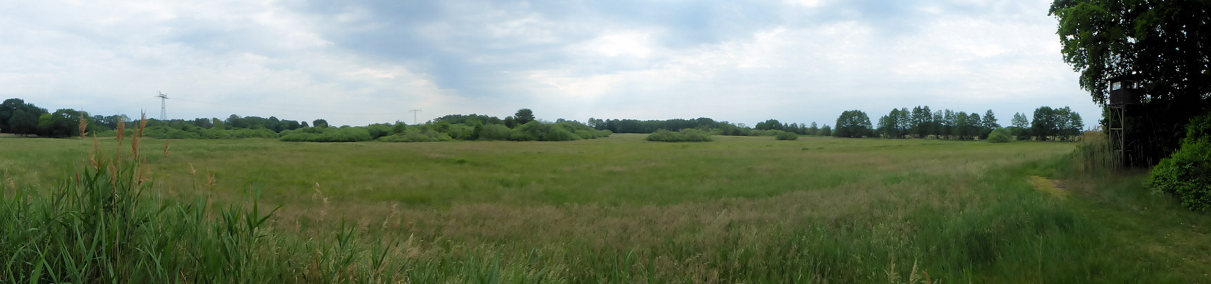 Panorama - northern part of the Nature Reserve Horstfelder- und Hechtsee
