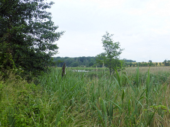 Salveytal and mill pond near Salvey-Mühle 3
