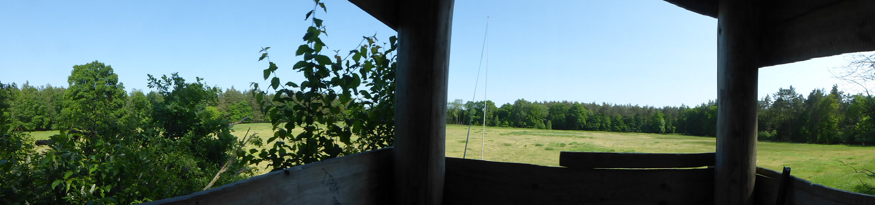 Blick vom Jagdhochsitz auf die 45 m lange Doublet-Antenne